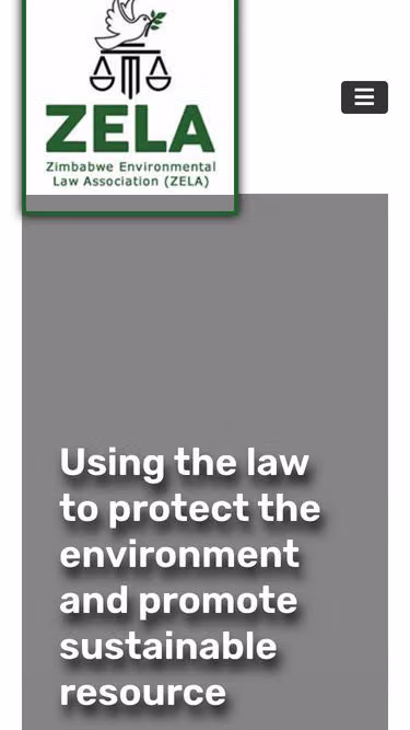 Screenshot of zela.org