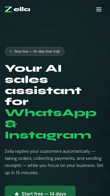Screenshot of zella.com.ng