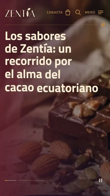 Screenshot of zentia.cc