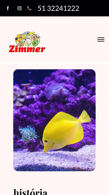 Screenshot of zimmer.com.br