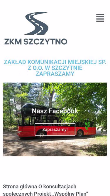 Screenshot of zkm.szczytno.pl
