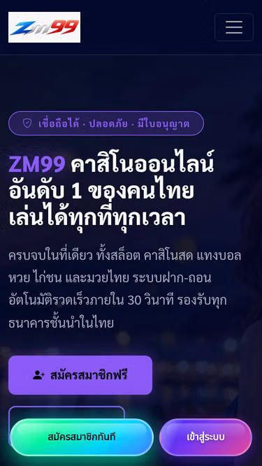 Screenshot of zm99.biz