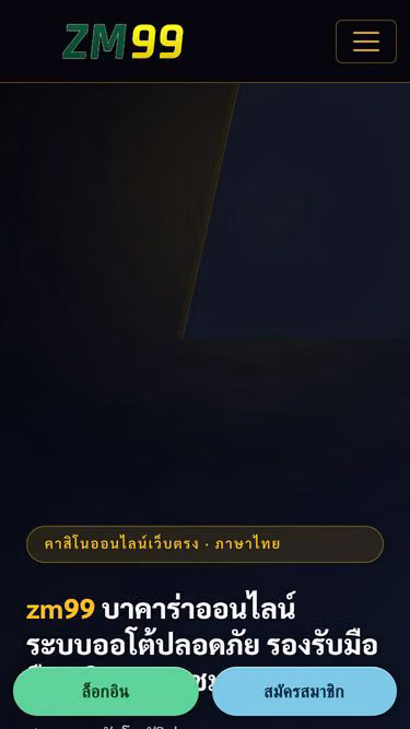 Screenshot of zm99.cam