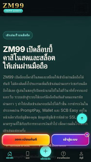 Screenshot of zm99.games