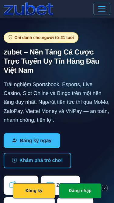 Screenshot of zubet.pro