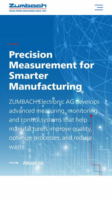 Screenshot of zumbach.com