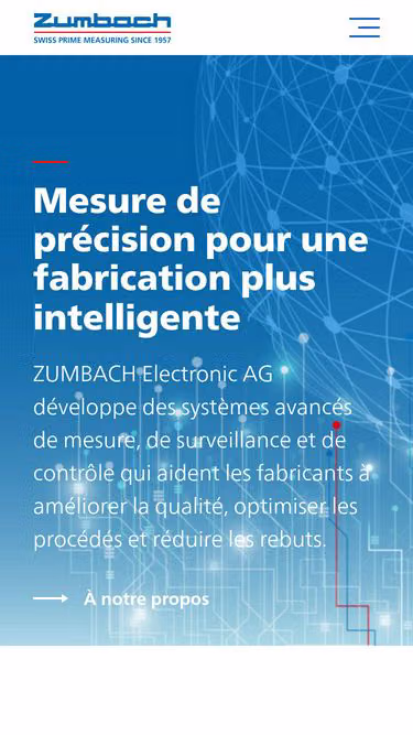 Screenshot of zumbach.fr