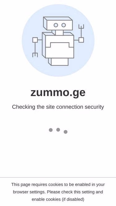 Screenshot of zummo.ge