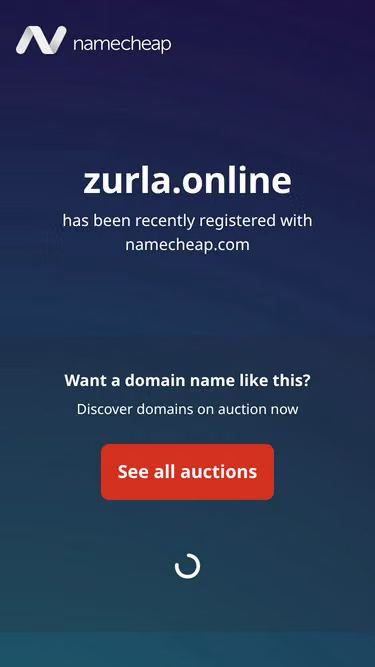 Screenshot of zurla.online