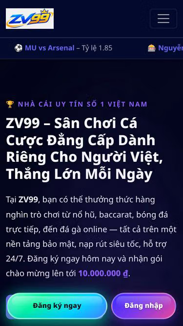 Screenshot of zv99.biz