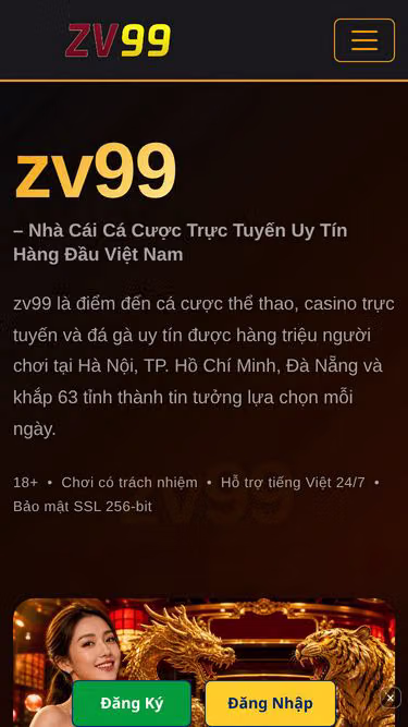 Screenshot of zv99.lat