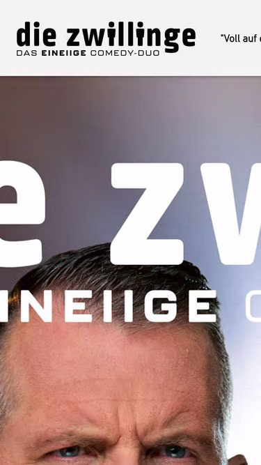 Screenshot of zwilling.ch