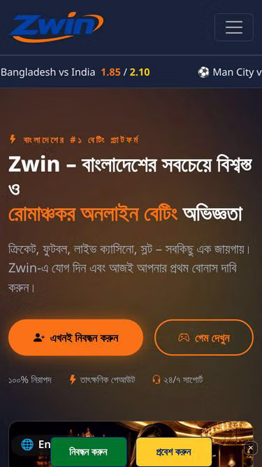 Screenshot of zwin.best