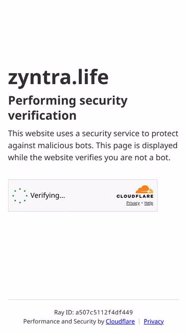 Screenshot of zyntra.life