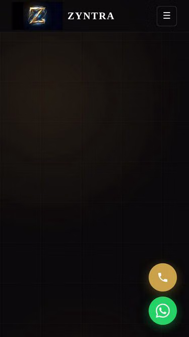 Screenshot of zyntra.ltd