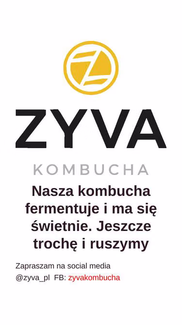 Screenshot of zyva.pl