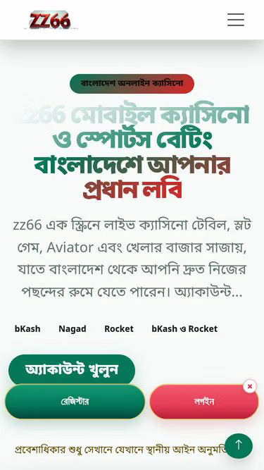 Screenshot of zz66.online